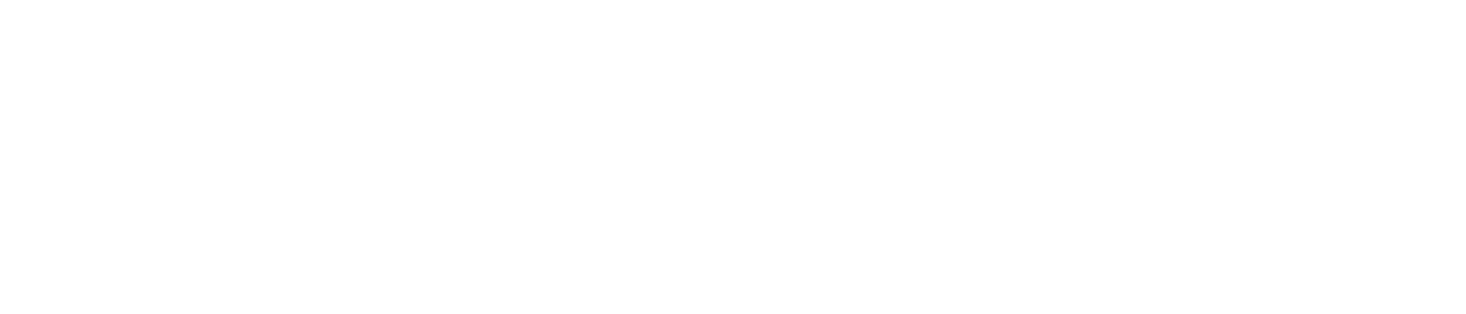 The Vinyl Clinic