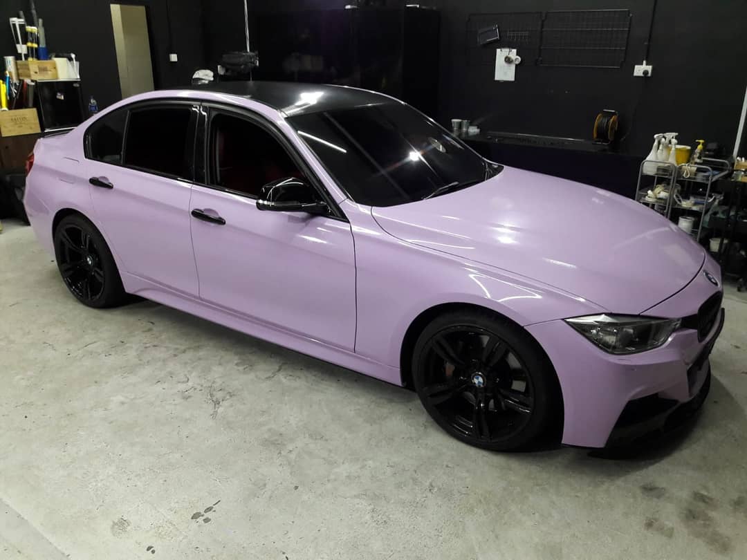 Lilac from all angle.