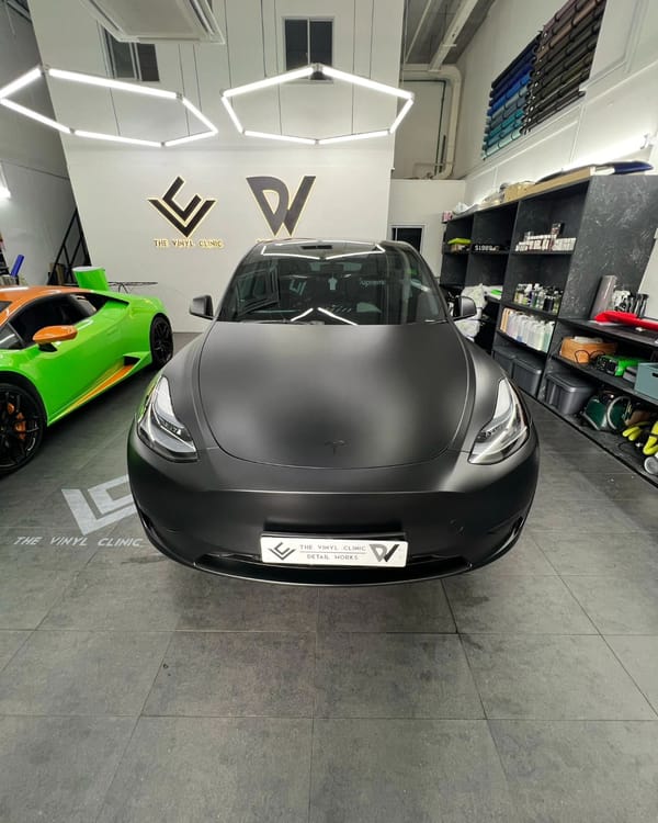 Model Y posing next to a bull. Avery Dennison matte black.