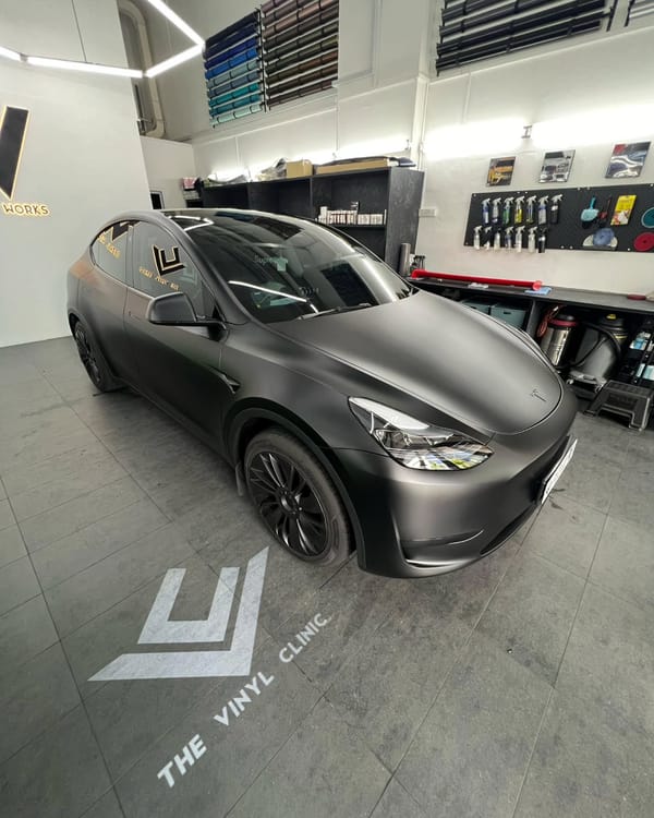 Model Y posing next to a bull.